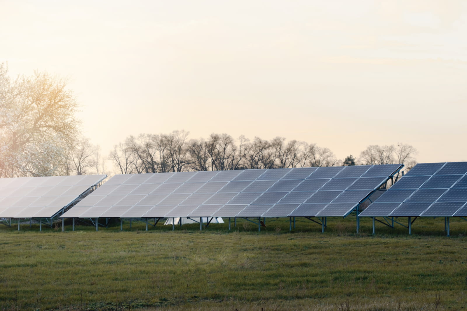solar for agriculture