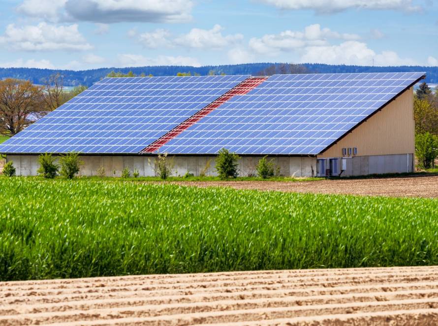 solar for agricultural businesses