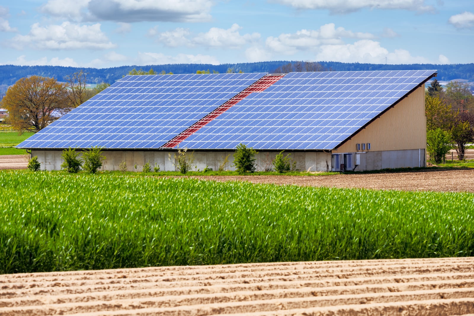 solar for agricultural businesses