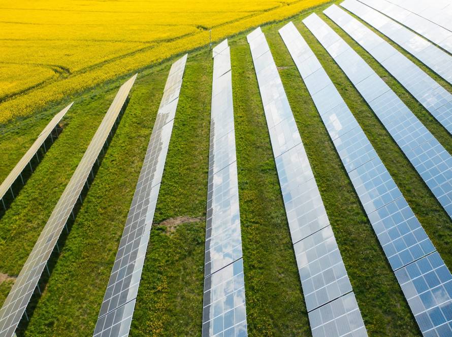solar for mining vs solar for agriculture