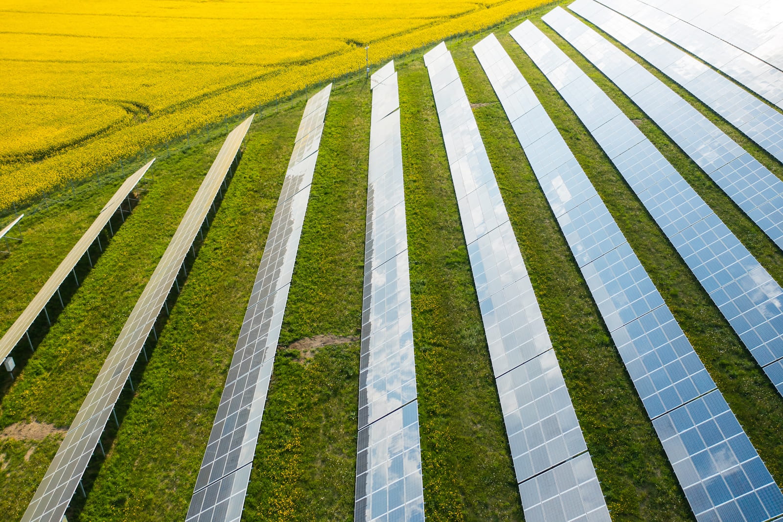 solar for mining vs solar for agriculture
