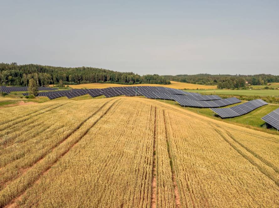 how agricultural businesses can reduce diesel dependence